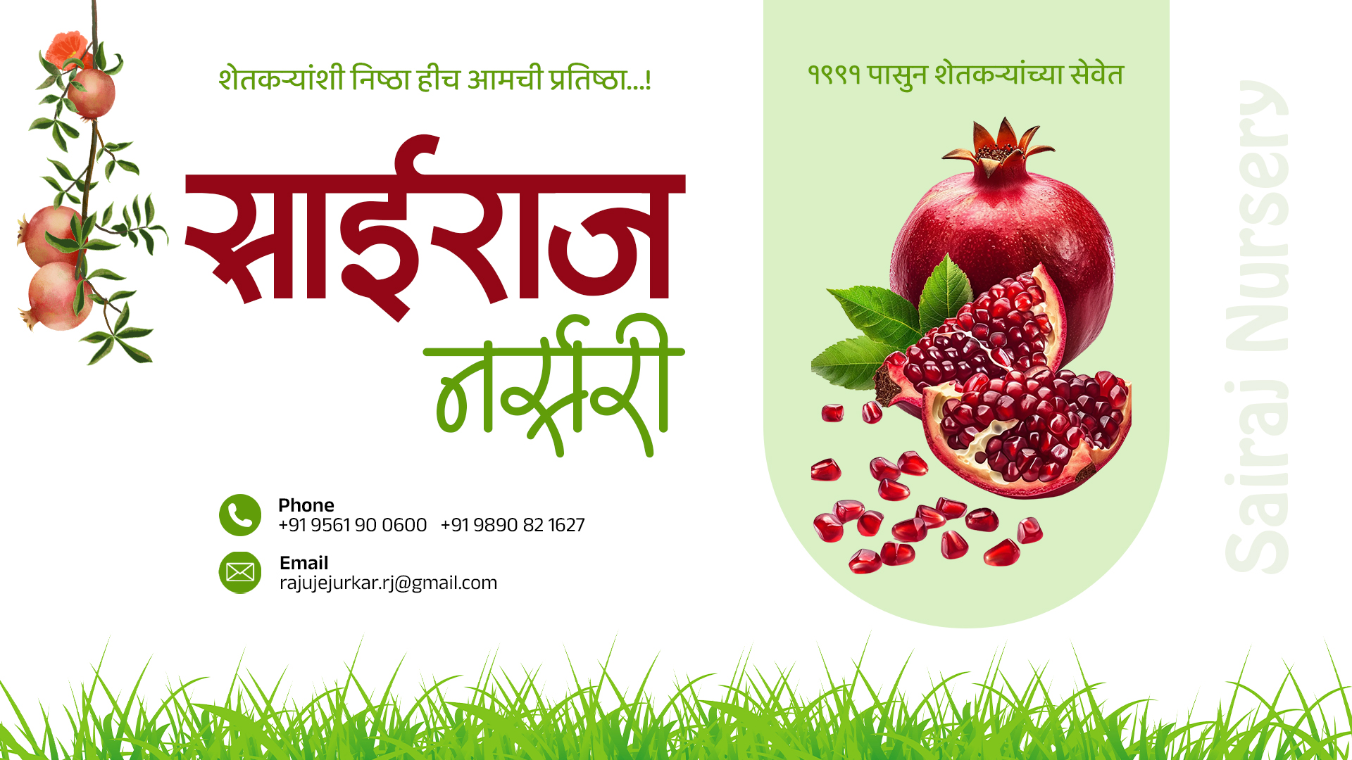 साईराज नर्सरी - प्रीमियम डाळिंब रोपे